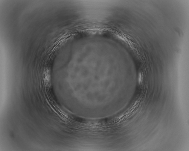 X0000113281396200909141215