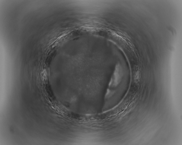 X0000113281397200909141215