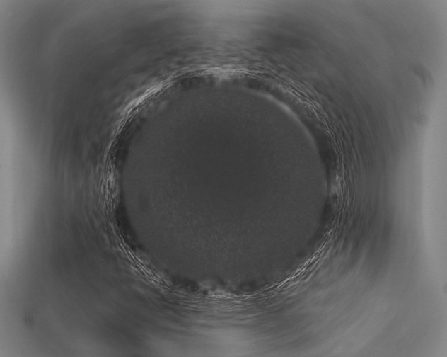 X0000113281398200909141215