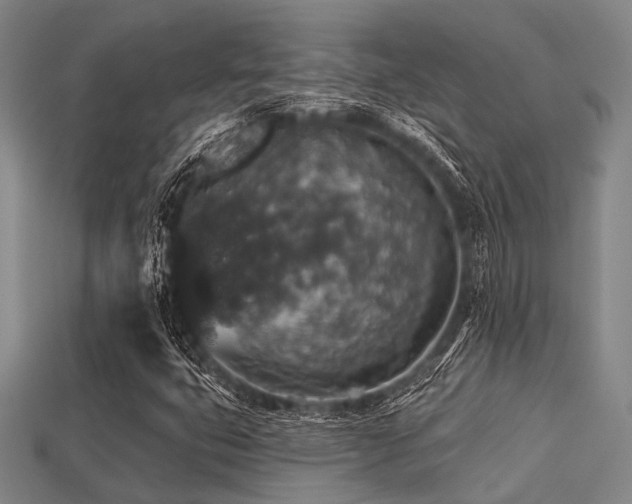 X0000113281399200909141215