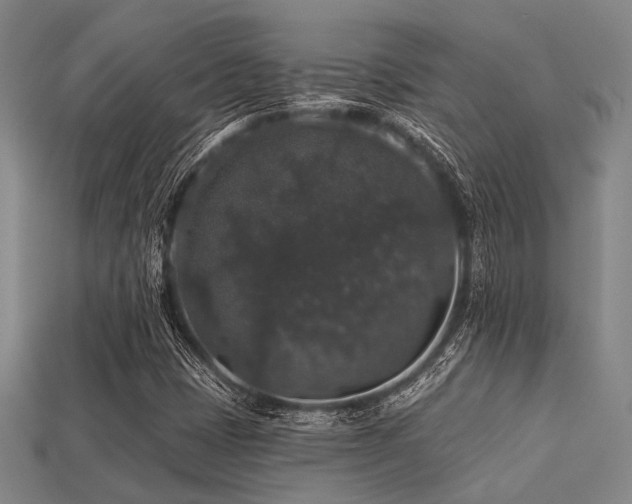 X0000113281401200909141215