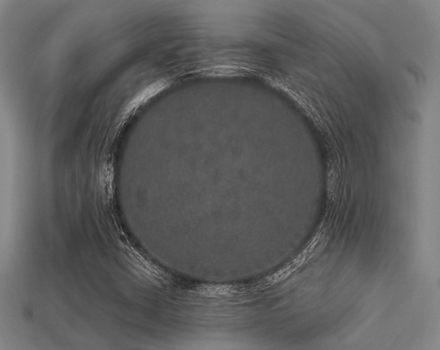 X0000113281402200909141215