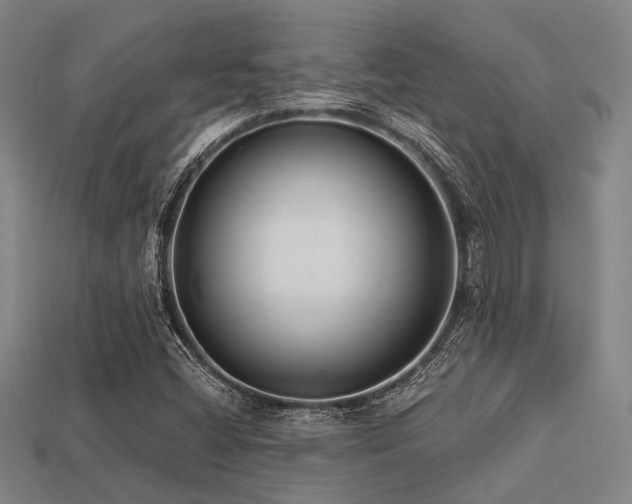 X0000113281404200909141216