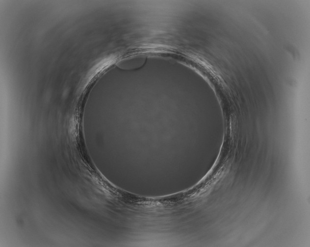 X0000113281405200909141216