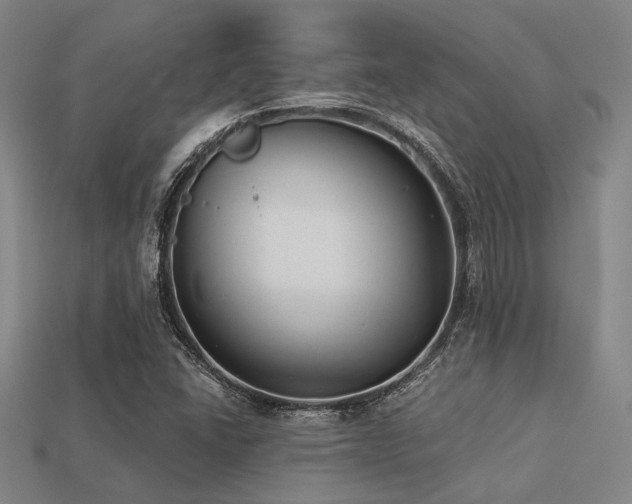 X0000113281406200909141216