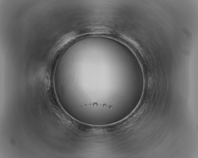 X0000113281407200909141216