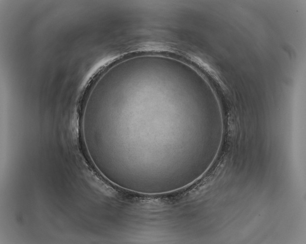 X0000113281408200909141216