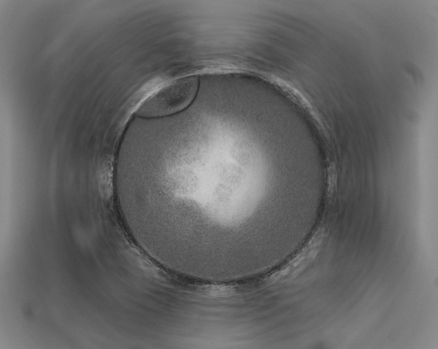 X0000113281409200909141216