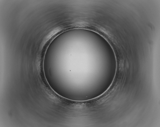 X0000113281410200909141216