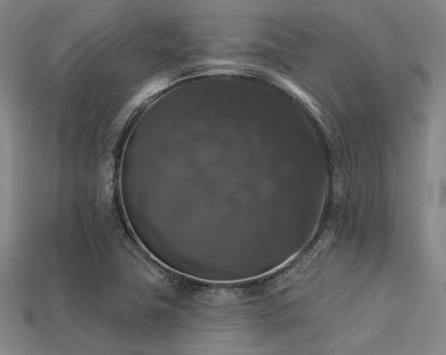 X0000113281411200909141216