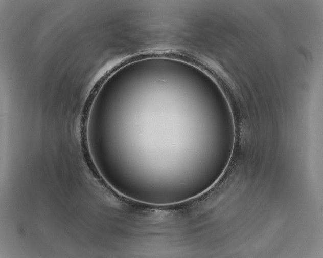 X0000113281412200909141216