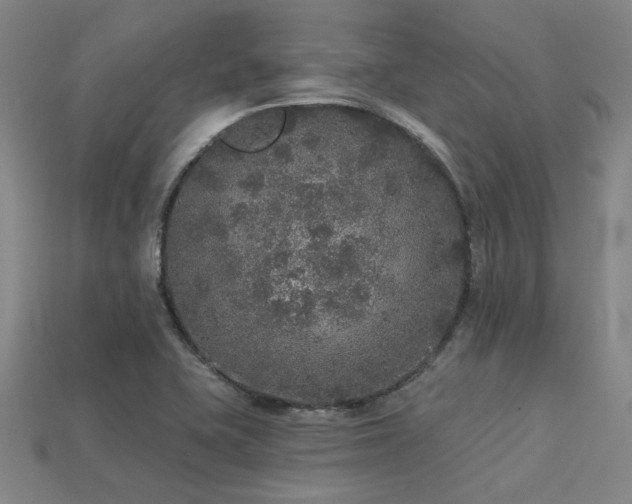 X0000113281415200909141216