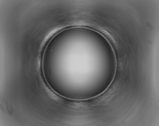 X0000113281416200909141216