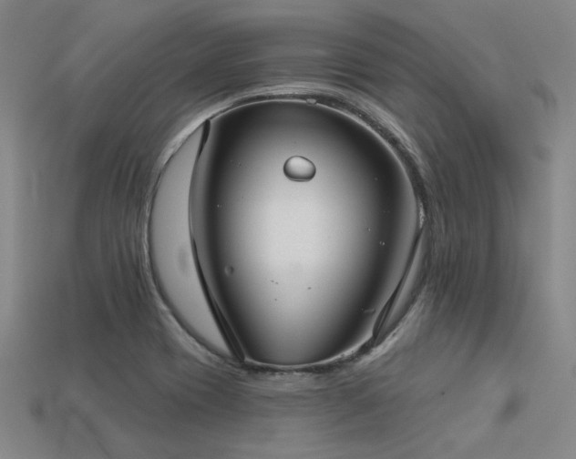 X0000113281417200909141216