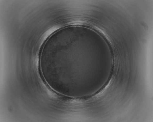 X0000113281418200909141216