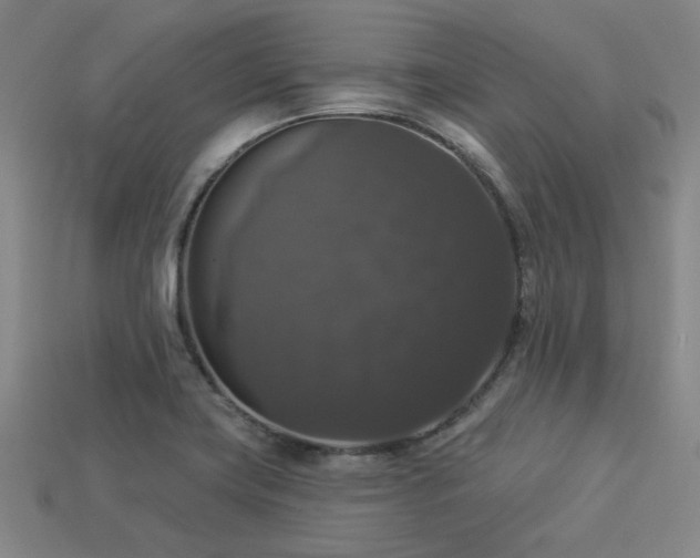 X0000113281419200909141216