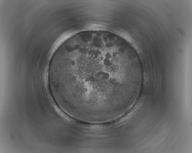 X0000113281421200909141216