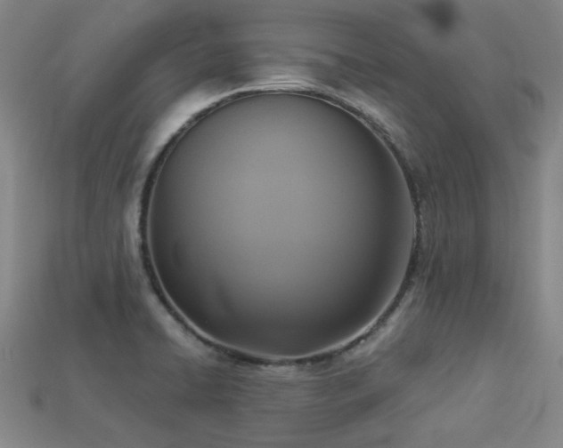 X0000113281422200909141216