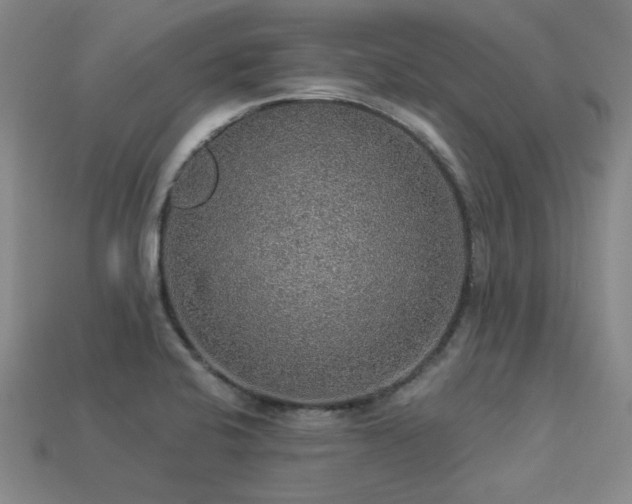 X0000113281424200909141216