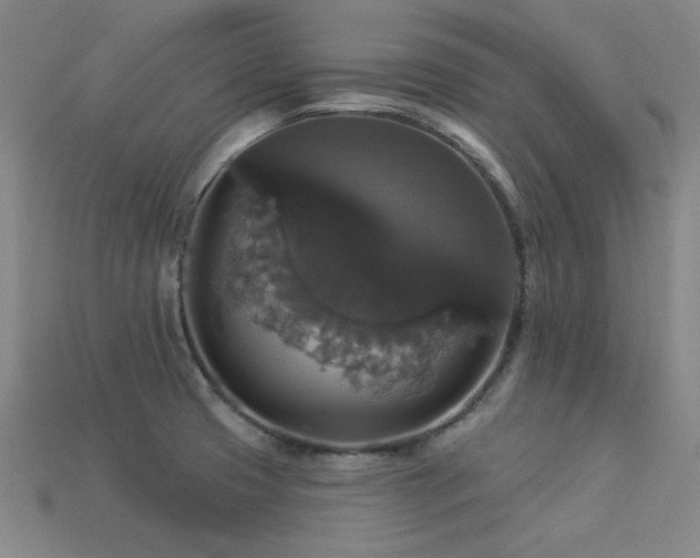 X0000113281425200909141216