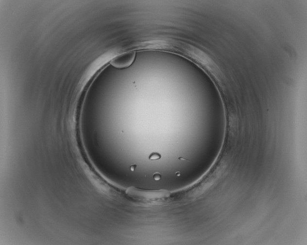 X0000113281426200909141216