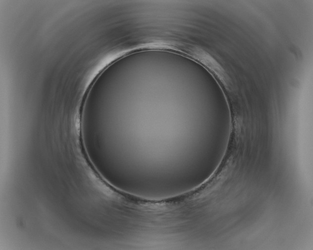 X0000113281428200909141216