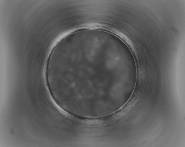 X0000113281429200909141216