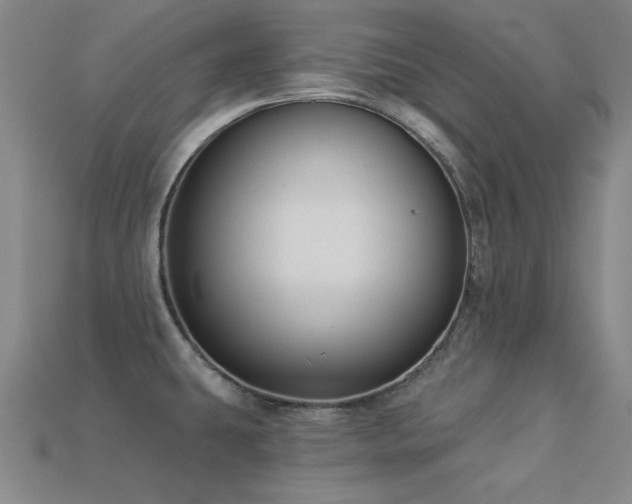 X0000113281431200909141216