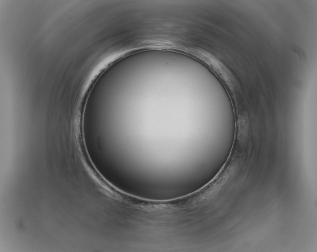 X0000113281432200909141216