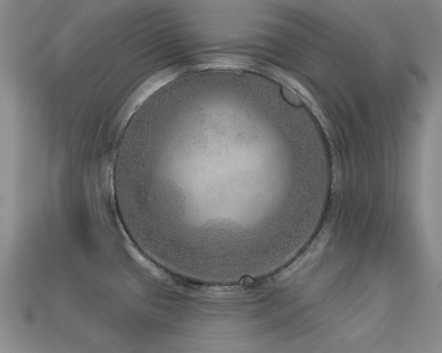 X0000113281433200909141216