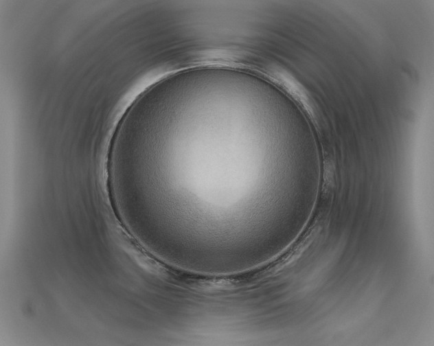 X0000113281435200909141216