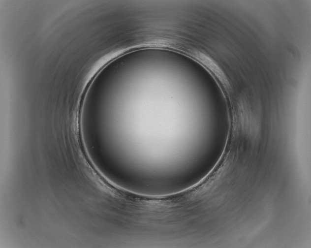 X0000113281436200909141216