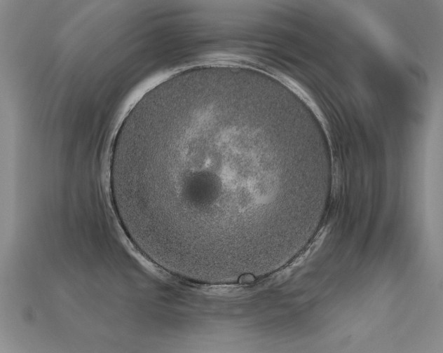 X0000113281437200909141216