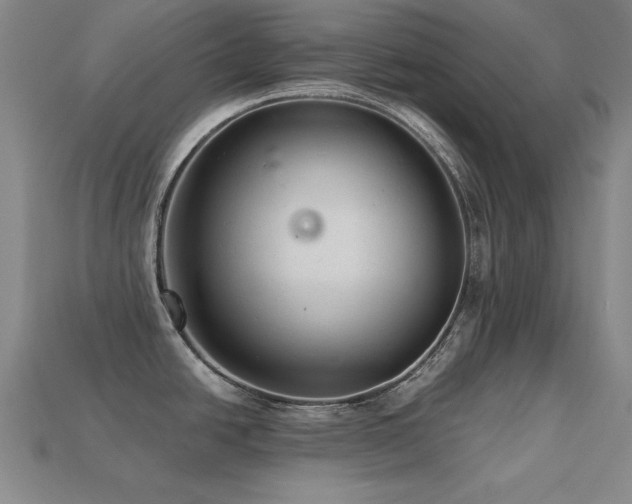 X0000113281438200909141216