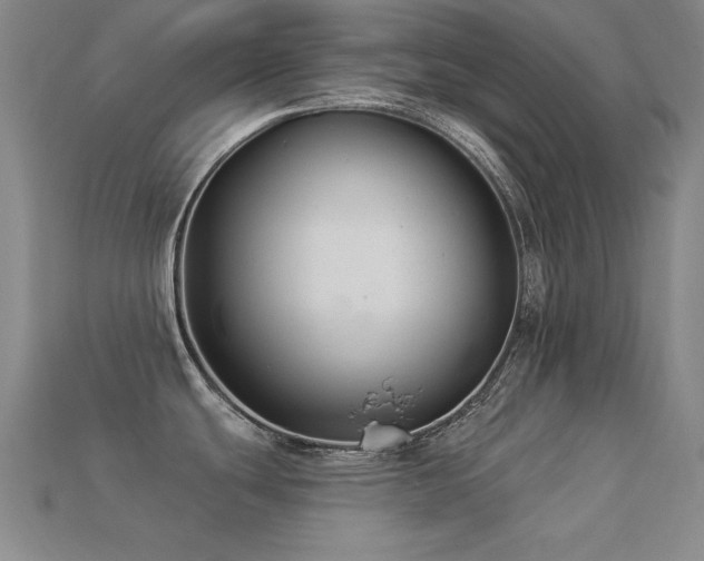 X0000113281439200909141216