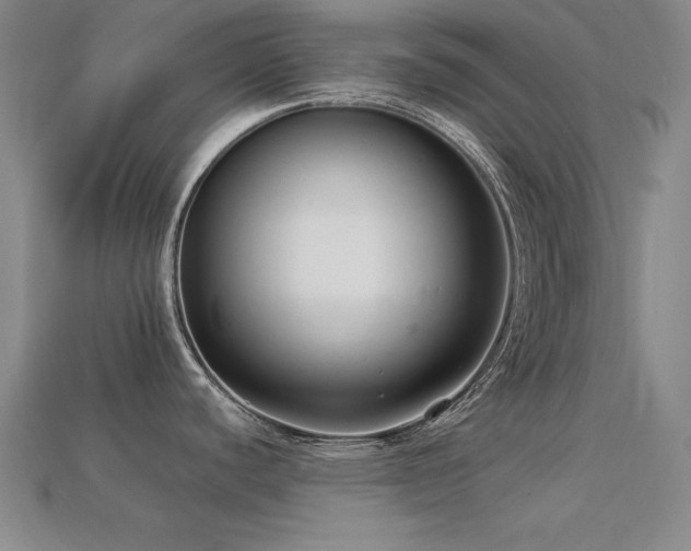 X0000113281440200909141216