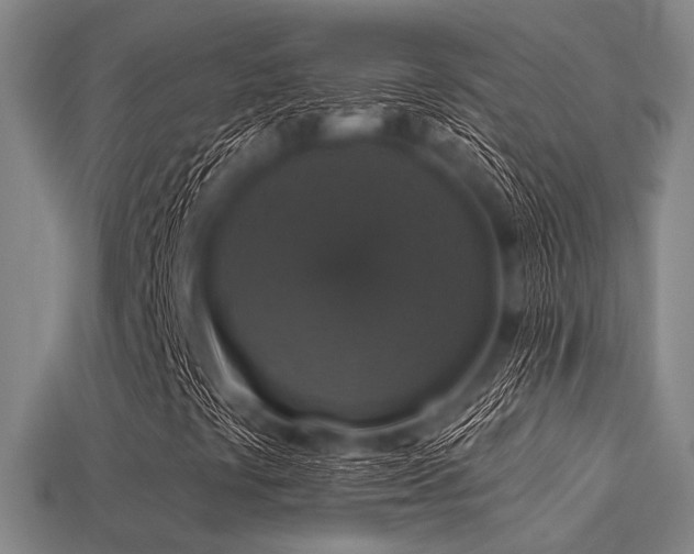 X0000113281441200909141215