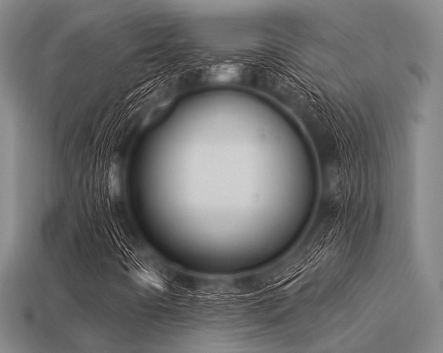 X0000113281442200909141215