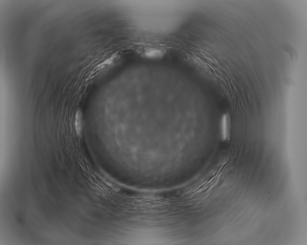 X0000113281443200909141215