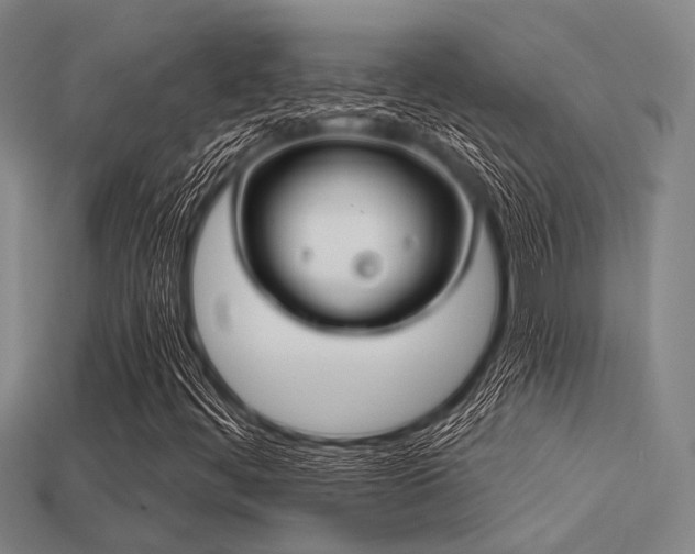 X0000113281444200909141215