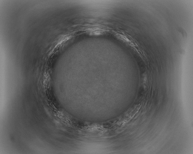 X0000113281446200909141215