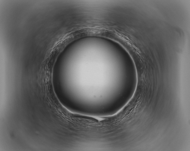 X0000113281447200909141215