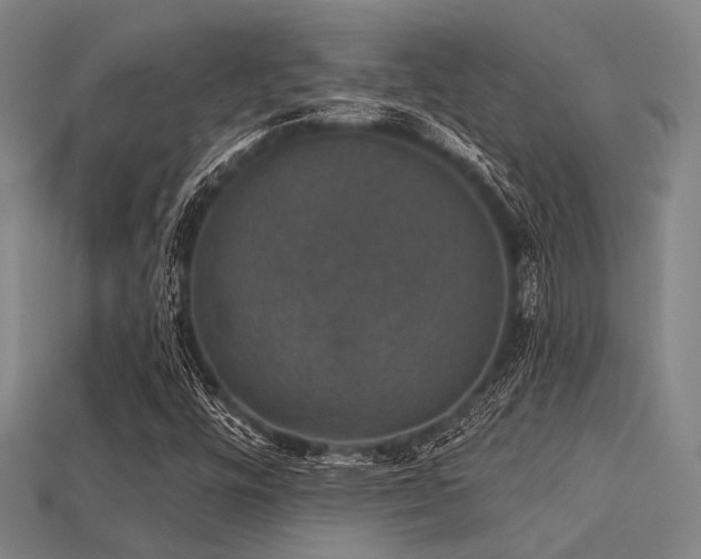 X0000113281448200909141215