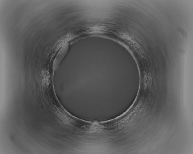 X0000113281449200909141215