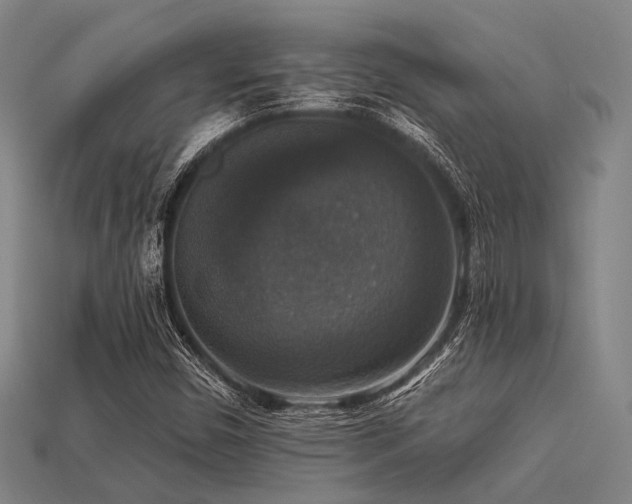 X0000113281450200909141215