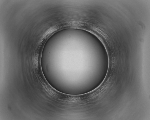 X0000113281451200909141215