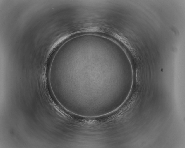 X0000113281452200909141215