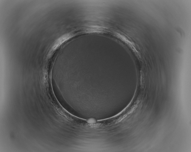 X0000113281453200909141215