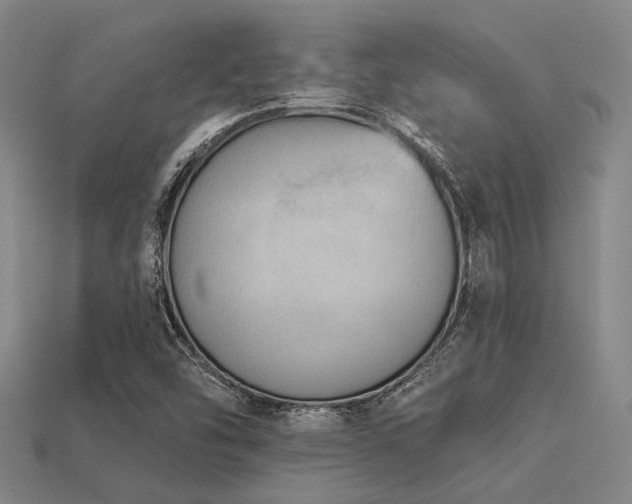 X0000113281454200909141215