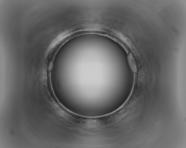 X0000113281456200909141215